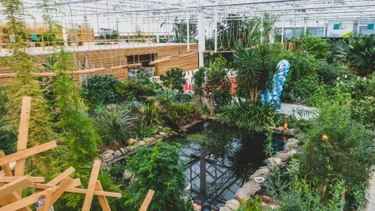 Overzicht van de tropische serre bij Middle of Nowhere